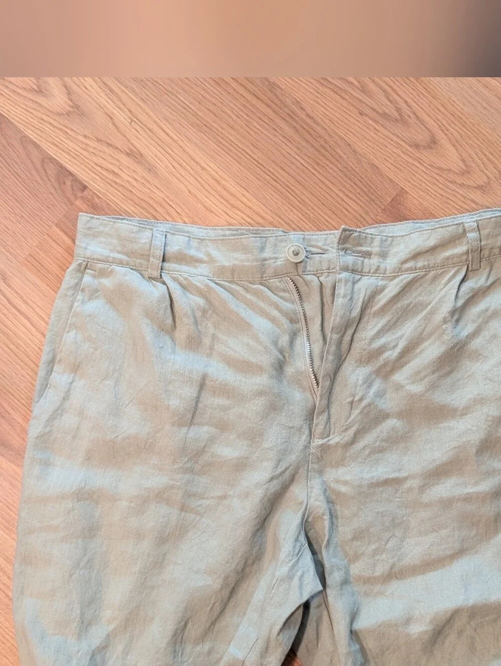 Zara Light Green Pants